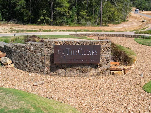 9601 Old Cedars Ct, Plantersville, TX 77363