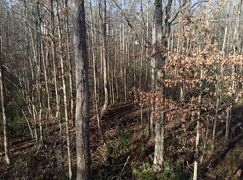 2nd image of 1556 Riverview Rd