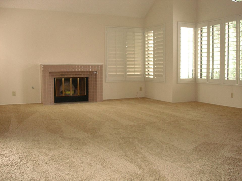 fireplace/new paaint & carpet