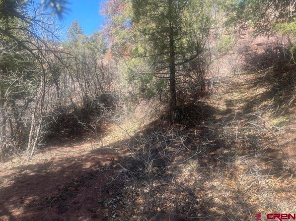 LOT 10 FALL CRE 57T Fall Creek Road, Placerville, CO 81430