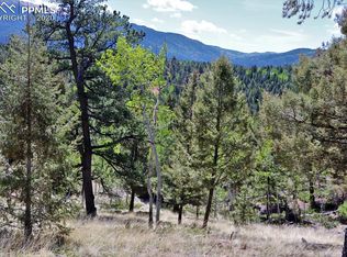 133 Haven Rd, Divide, CO 80814