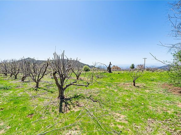 4th image of 13557 Mile High Ranch Rd Lot 11