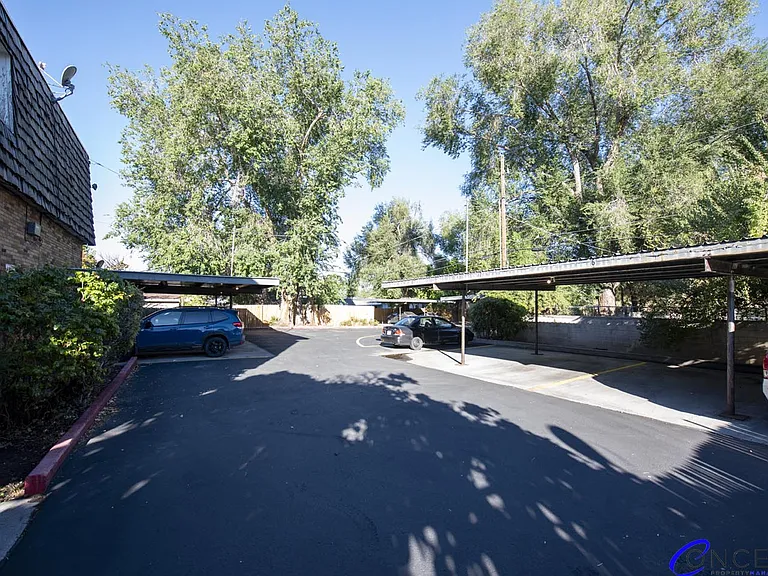 Rose Ann — Photo 77