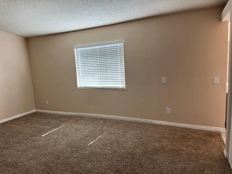 11876 Dream St — Photo 15