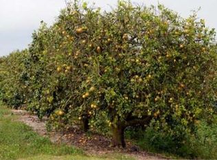 Orange Ave, Fort pierce, FL 34945