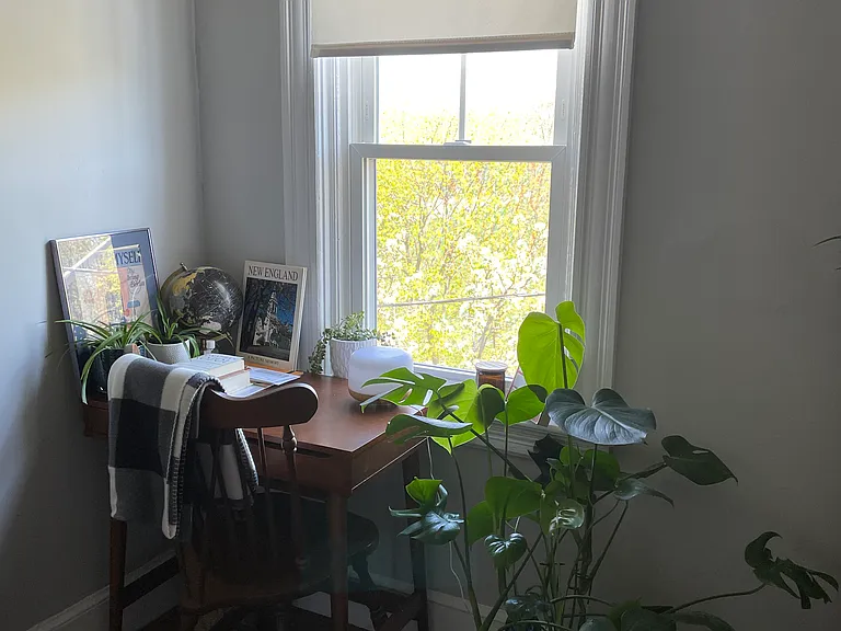 268 Brown St #3 — Photo 2