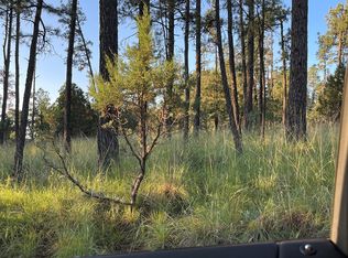 LOT 117 Paradise Valley Ct, Timberon, NM 88350