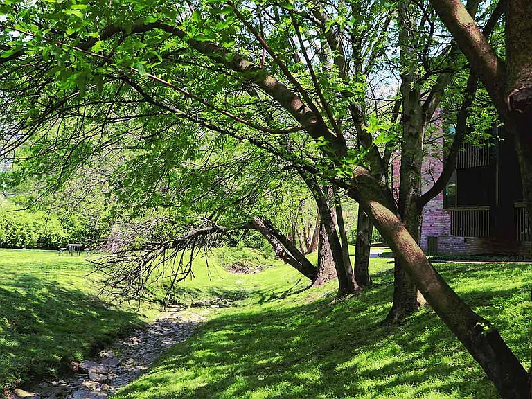 LUSH GREENERY