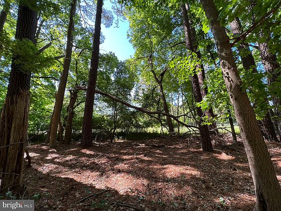 5th image of PARCEL 40 Revells Neck Rd