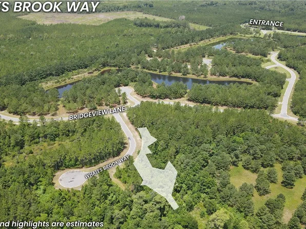 394 Whales Brook Way, Waverly, GA 31565