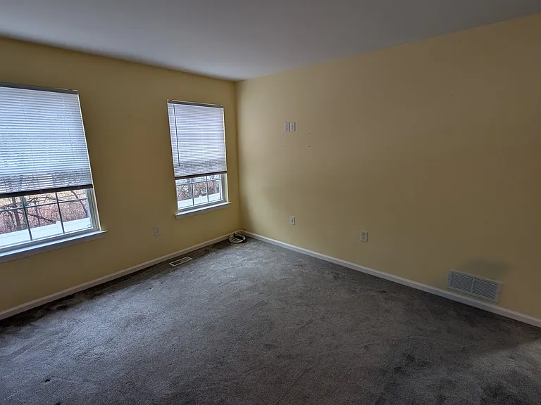 228 Birch Hollow Dr — Photo 32