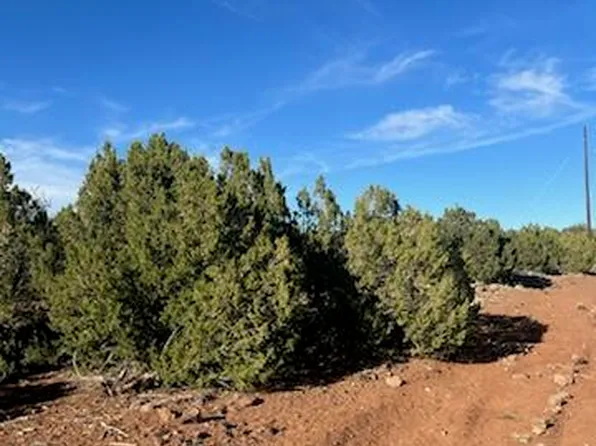 8754 Clark Rd, Show Low, AZ 85901