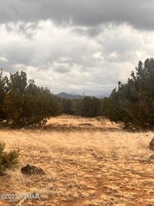 004CA Shady Oak Trl, Show Low, AZ, 85901