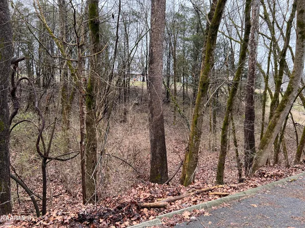 LOT 83 Delight Ln, Sevierville, TN 37876