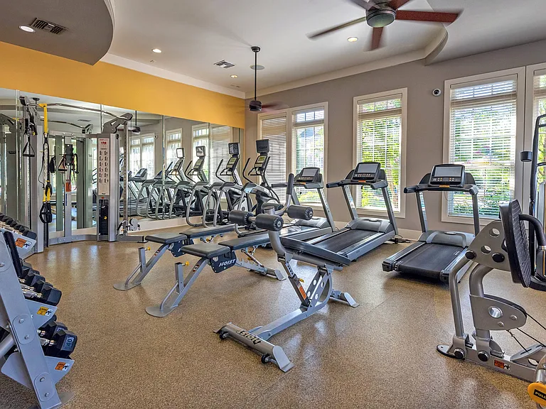 Cardio Equipment in Fitness Center