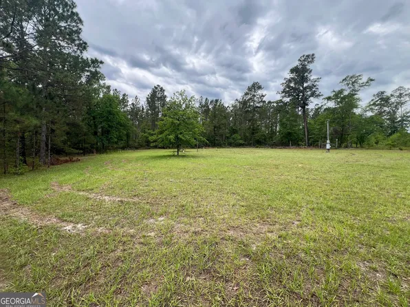 1494 Hiltonia Rd, Millen, GA 30442