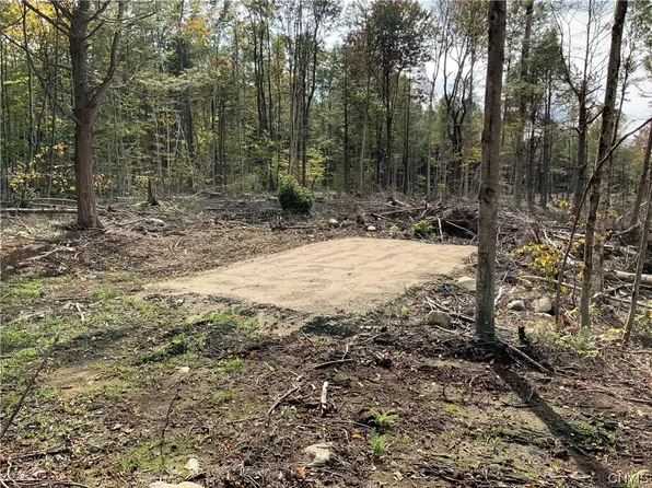 0 County Route 119, Dolgeville, NY 13329