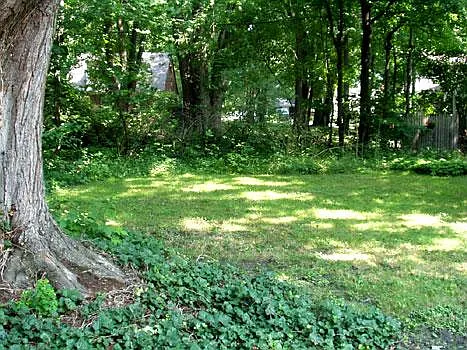 83 E Shore Blvd — Photo 2