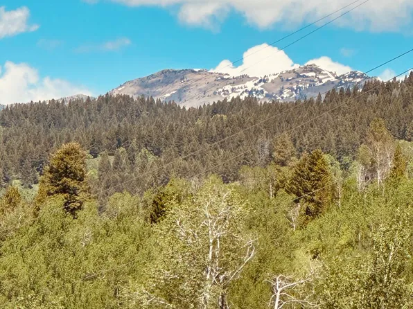 Marten Pl, Alpine, WY 83128