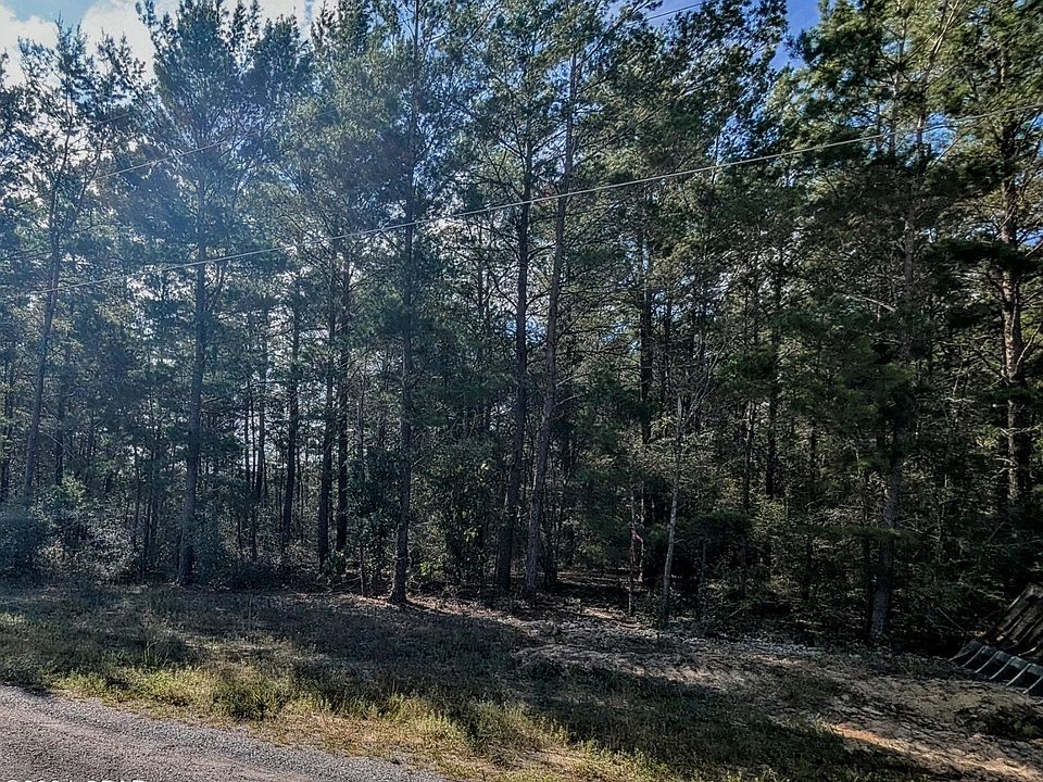 2nd image of E Iris Ln
