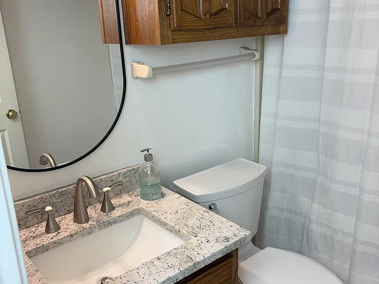 New sink and toilet.