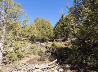 20 Pioneer Pl, Mosca, CO 81146