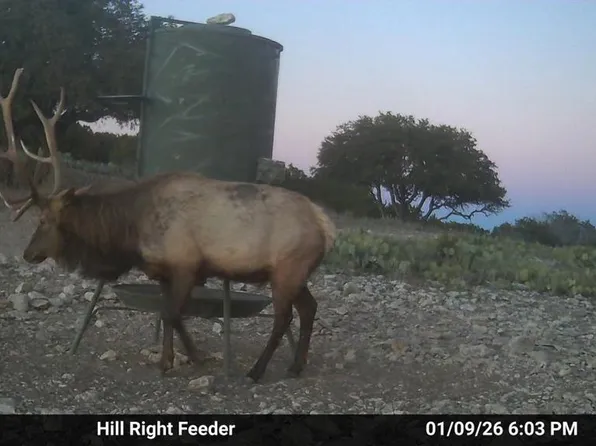 Sd 20120 Other, Rocksprings, TX 78880