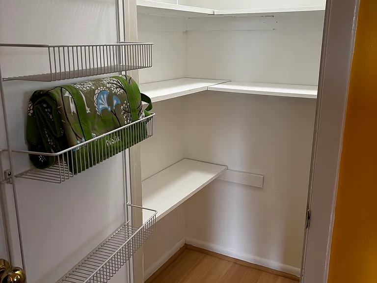 Lighted sizable walk in pantry