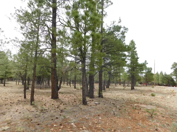 4783 Horseshoe Dr, Happy Jack, AZ 86024