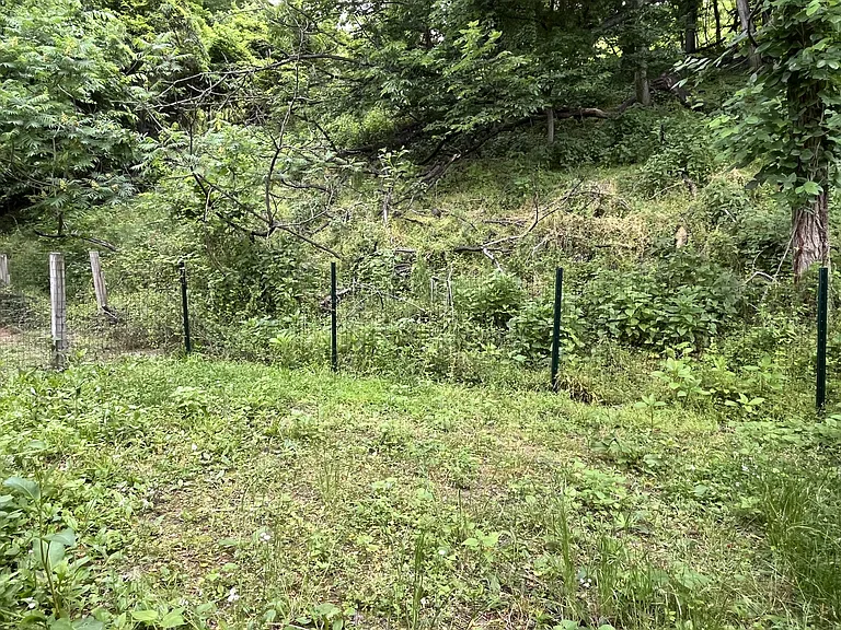 533 Saint Marys Dr — Photo 17