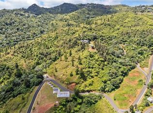 State Highway 566 Int Coli Sector Saltos Ward Rd #KM40, Orocovis, PR 00720