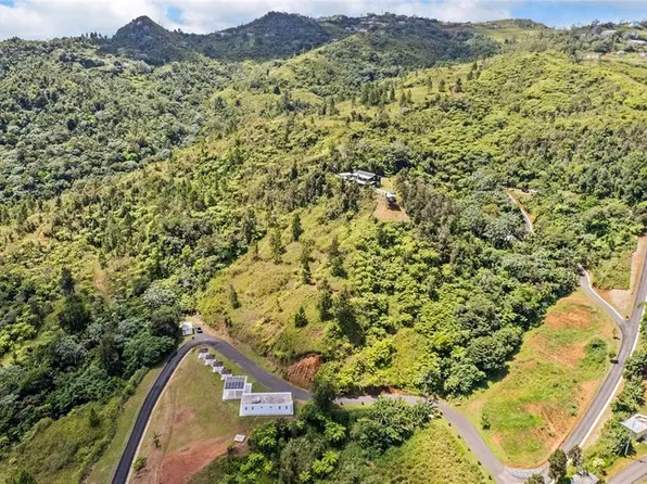 State Highway 566 Int Coli Sector Saltos Ward Rd #Km40, Orocovis, PR 00720