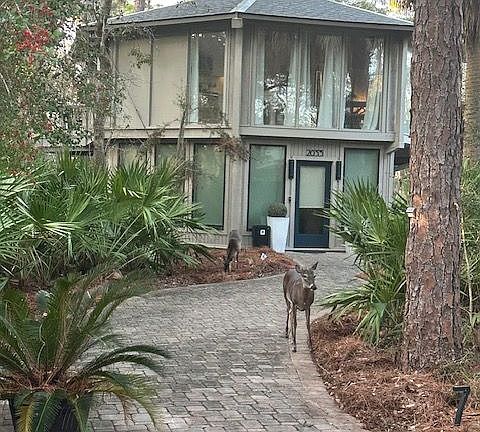 3rd image of 2033 Deer Island Rd