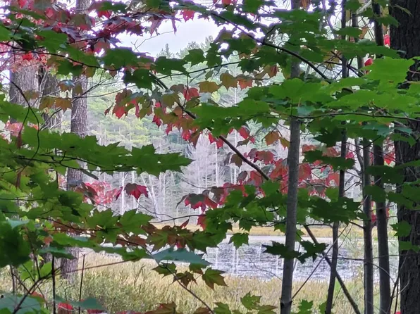 0 S Chesbrough Lake Rd, Newberry, MI 49868