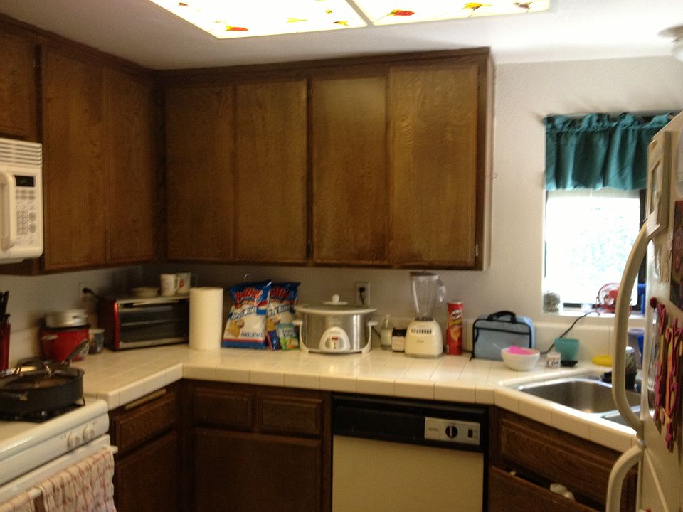 1st image of 1608 Shady Brook Dr #145