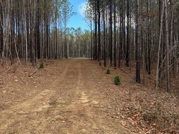 565 New Liberty Rd, Bankston, AL 35542