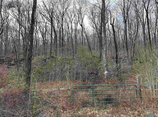 6.49 Rock Spring Rd, Owens Cross Roads, AL 35763