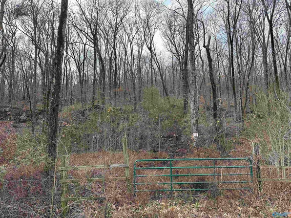 6.49 Rock Spring Rd, Owens Cross Roads, AL 35763
