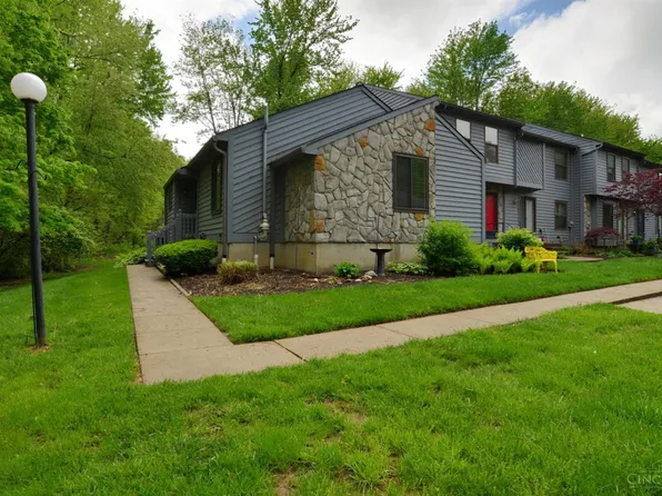 1153 Chestnut Ct, Cincinnati, OH 45245