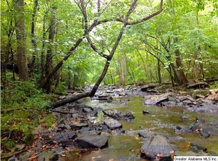 Posey Ln, Blountsville, AL 35031