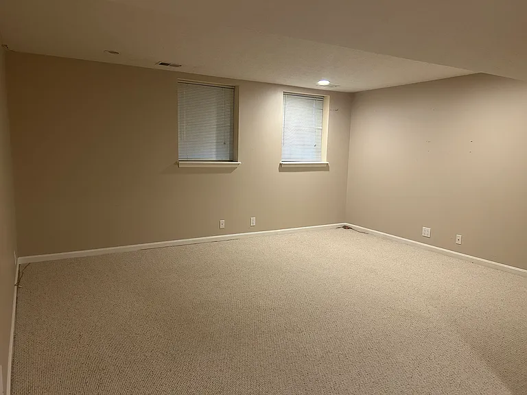 Finished Lower level