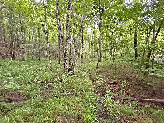 3rd image of 20AC Yonder Way
