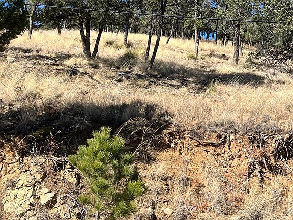 2nd image of 115 College Dr