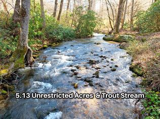 95 Cals Cove Rd, Franklin, NC 28734