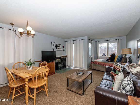 3rd image of 1380 Ski View Dr #1106