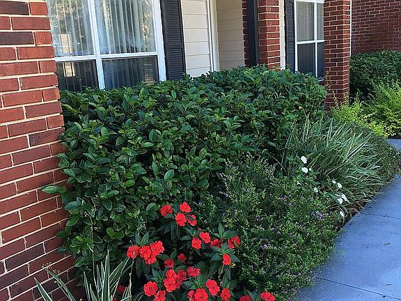 Walkway to the front door