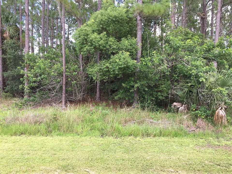 1st image of 10 Palmetto Dr