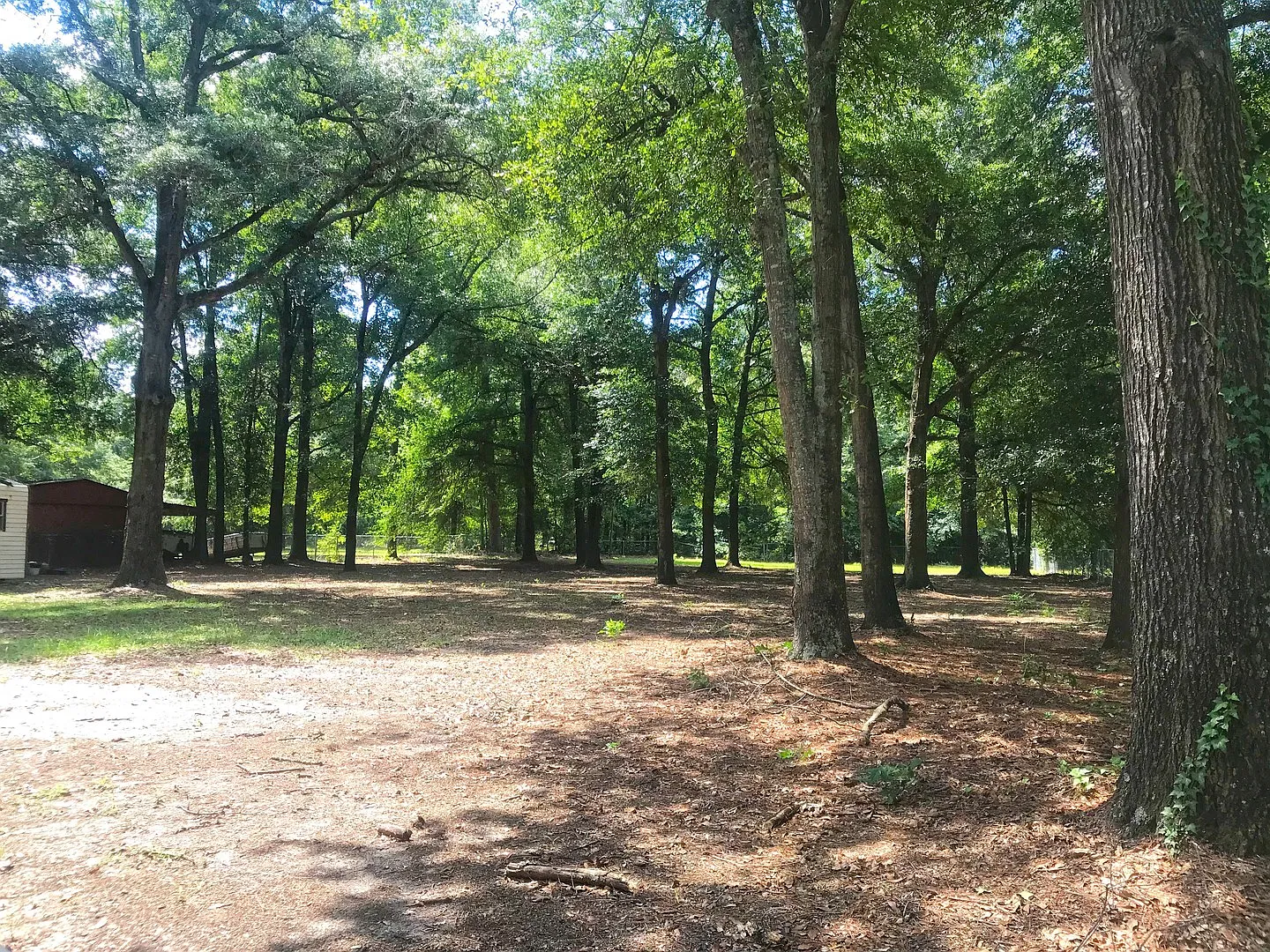 Renovated on a Large Lot Just off Mike Padgett HWY Past Brown Road! — Photo 3