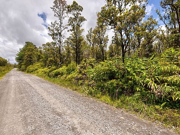 4th image of Jungle King Ave Lot 78