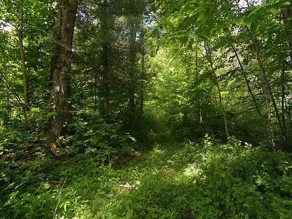 3rd image of NULL-SR1257 Mountain Dr
